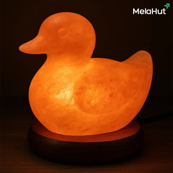 Duck Salt Lamp