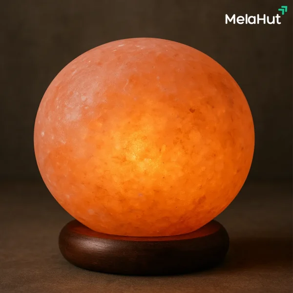Globe Salt Lamp